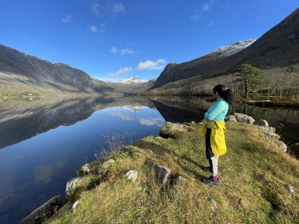 Fjord Apartments Dimmelsvik المظهر الخارجي الصورة